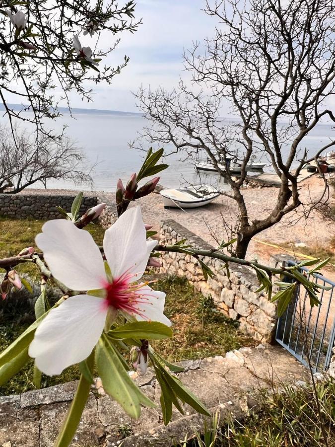 Apartmani Tin Starigrad Paklenica Luaran gambar